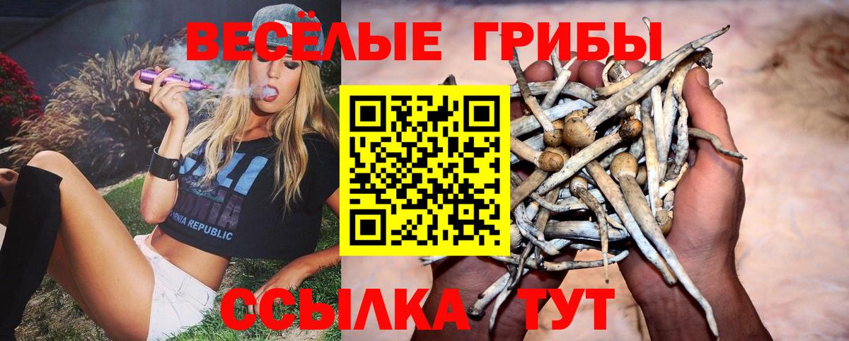 Псилоцибиновые грибы GOLDEN TEACHER  Вход с VPN  Псилоцибиновые грибы GOLDEN TEACHER  Сергиев Посад 